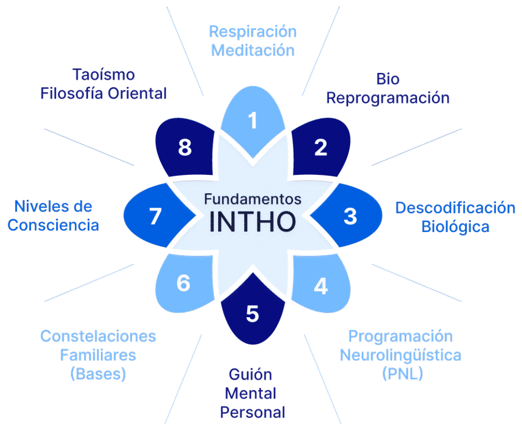 Las 8 Herramientas de Sanación Holística usadas en intervencion holistica